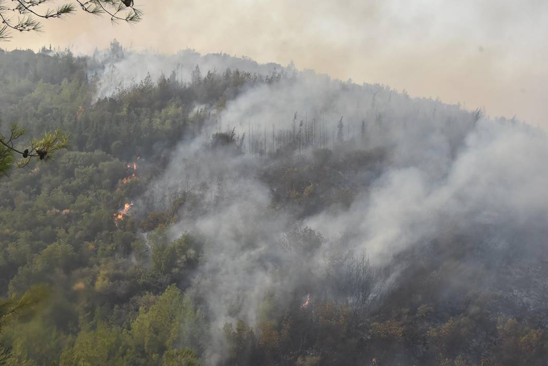 Milas'ta başladı, Bodrum'a sıçradı! 2 çıkarma gemisi bölgede 15